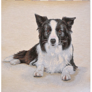 Panel gobelinowy Border Collie k.126